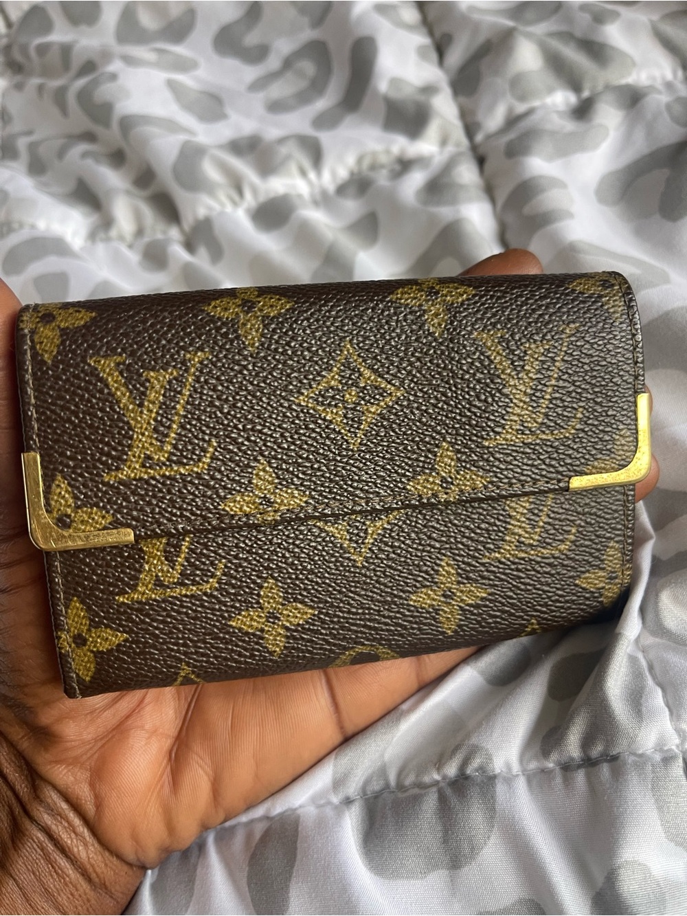 Louis Vuitton Monogram wallet Pouch